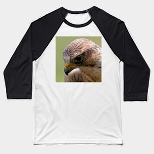 Saker Falcon Baseball T-Shirt